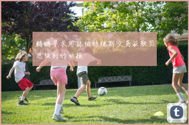 鹈鹕寻求用赫伯特琼斯交易获取贝恩级别的回报
