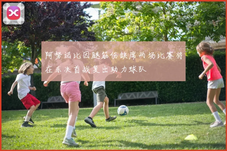 阿努诺比因腿筋伤缺席两场比赛将在东决首战复出助力球队